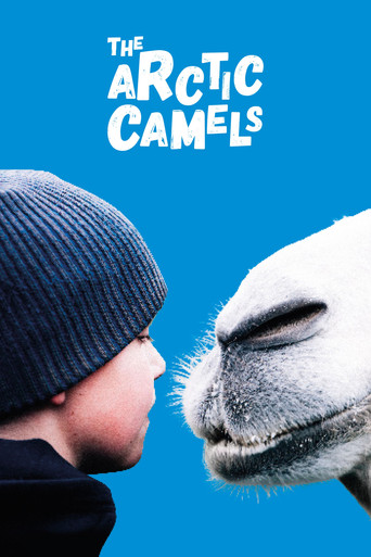 The Arctic Camels movie poster