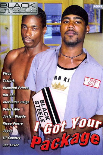 I Got Your Package movie poster