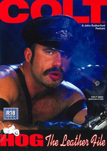 Hog: The Leather File movie poster
