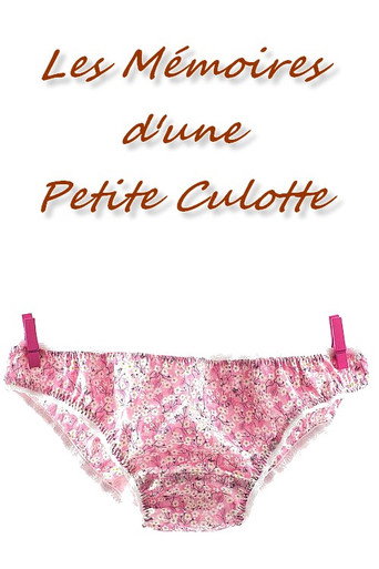 Les Mémoires d'une petite culotte movie poster