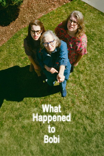 What Happened to Bobi movie poster
