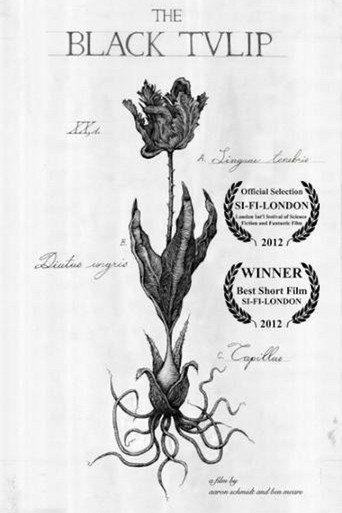 The Black Tulip movie poster