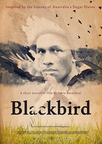 Blackbird movie poster