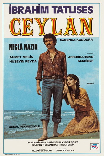 Ceylan movie poster