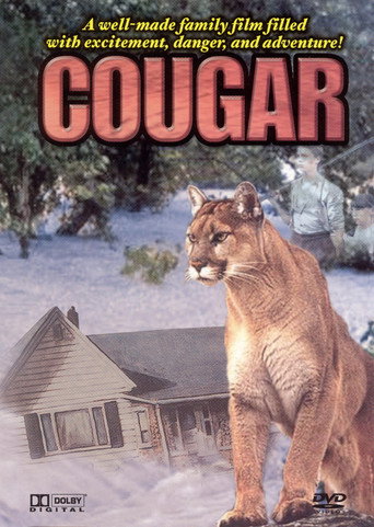 Cougar movie poster