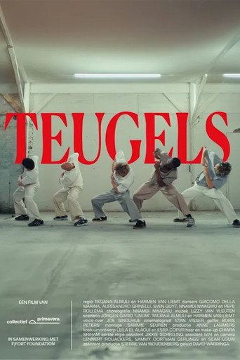 Teugels movie poster