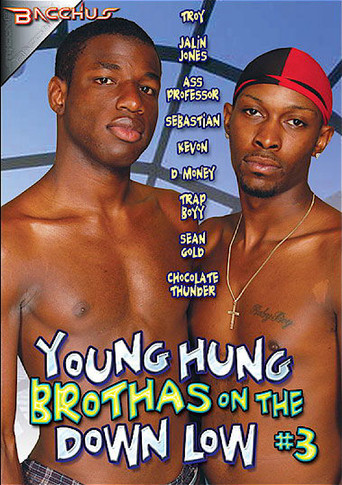 Young Hung Brothas on the Down Low 3 movie poster