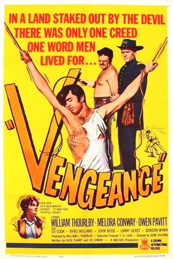 Vengeance movie poster