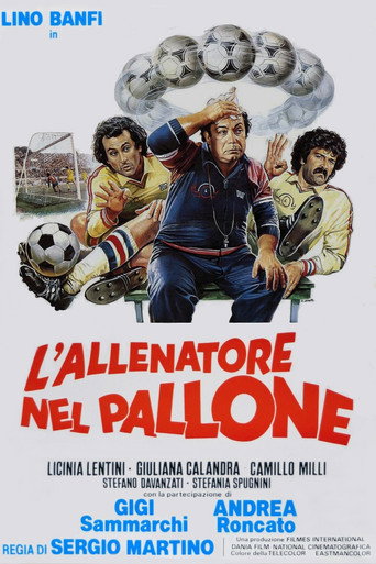L'allenatore nel pallone movie poster