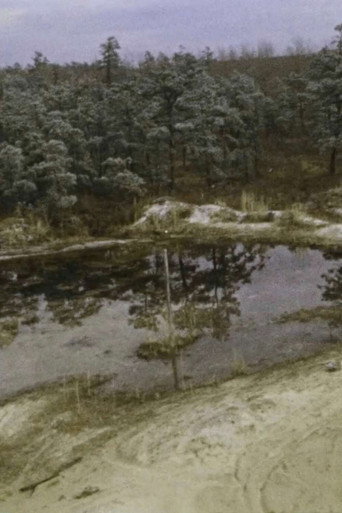 Pine Barrens movie poster