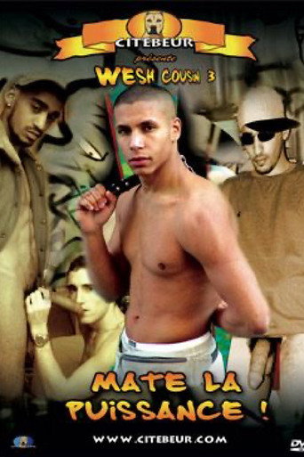 Wesh Cousin 3: Matte la puissance! movie poster