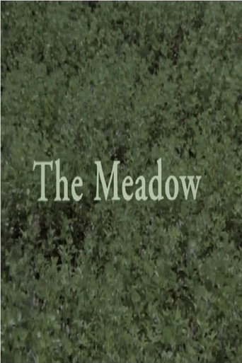 The Meadow movie poster