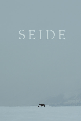 Seide movie poster