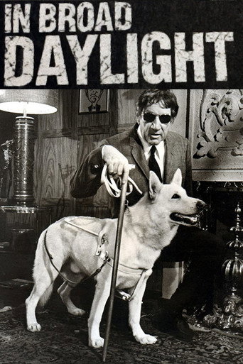 In Broad Daylight movie poster