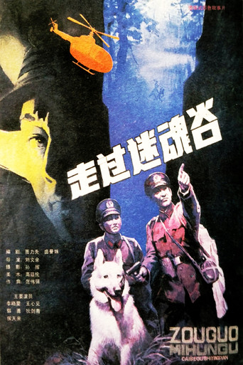 Go Through A Magic Valley movie poster
