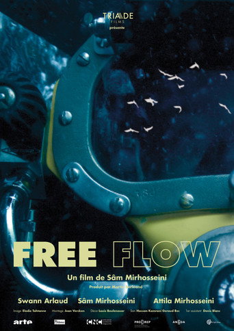 Free Flow movie poster