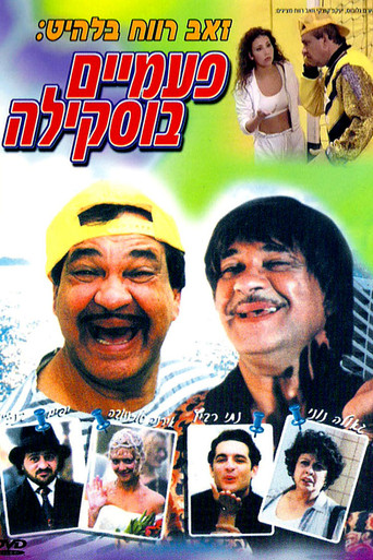Buskila Twins movie poster