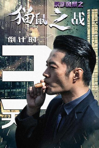 反诈风暴之猫鼠之战 movie poster
