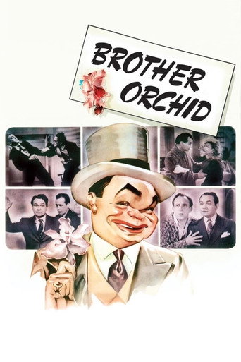 Brother Orchid movie poster