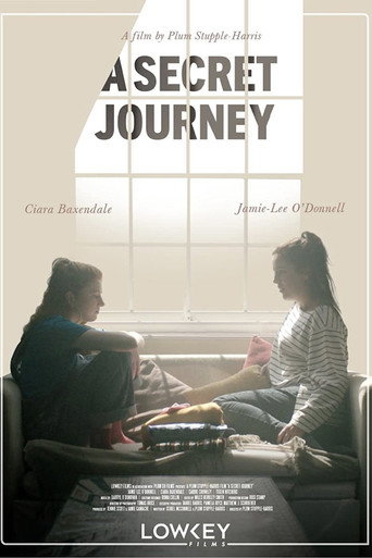 A Secret Journey movie poster