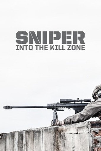 Sniper: Into the Kill Zone movie poster