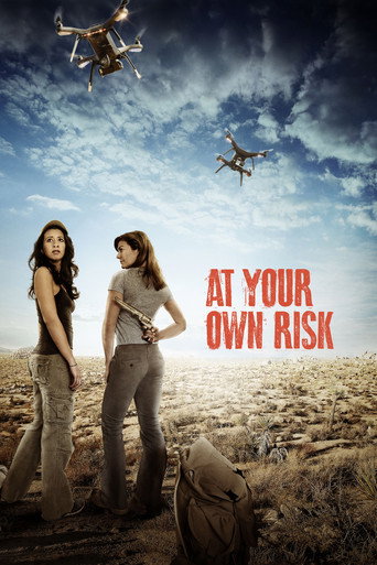 At Your Own Risk movie poster