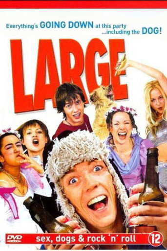 Large movie poster