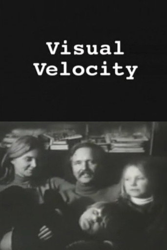 Visual Velocity: The Work of Stan VanDerBeek movie poster