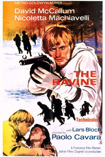 The Ravine movie poster
