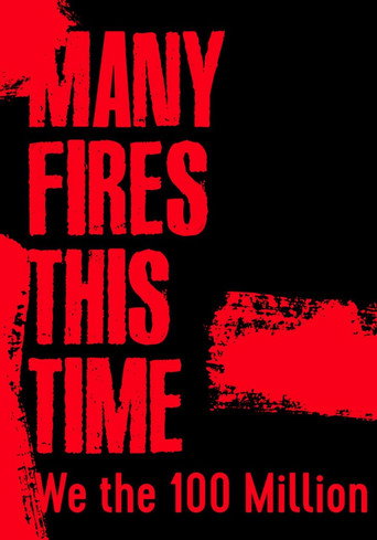 Many Fires This Time: We the 100 Million movie poster