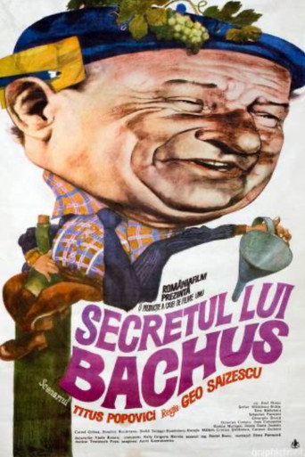 The Secret of Bacchus movie poster