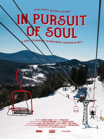 In Pursuit of Soul movie poster