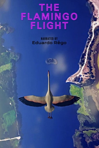 O Voo do Flamingo movie poster