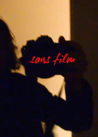 sans film movie poster