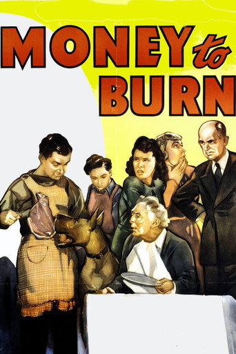 Money To Burn movie poster