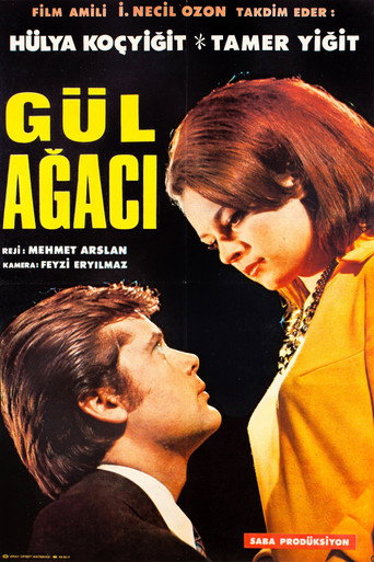 Gül Ağacı movie poster