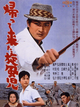 Return of the Whirlwind movie poster