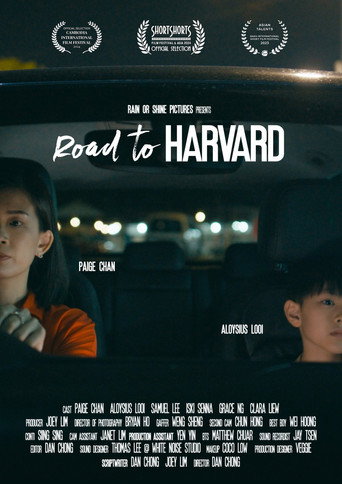 Road to Harvard movie poster