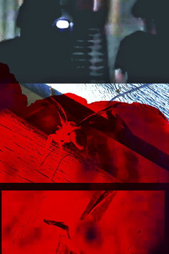 Because I felt like it movie poster