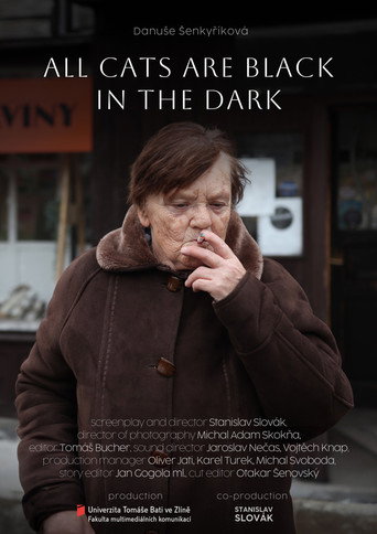 Potmě jsou všechny kočky černé movie poster