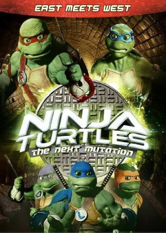 Ninja Turtles: The Next Mutation - East Meets West movie poster