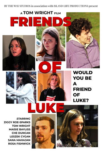 Friends of Luke movie poster