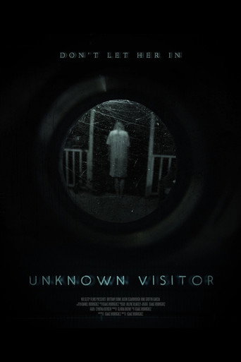 Unknown Visitor movie poster