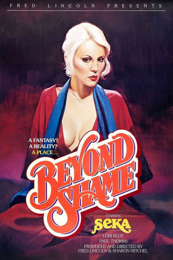 A Place Beyond Shame movie poster