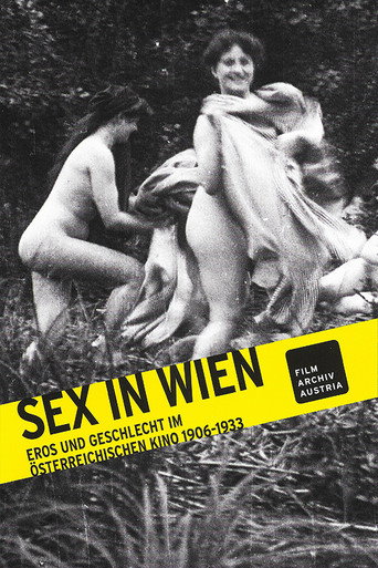Sex in Wien: Eros und Geschlecht im österreichischen Kino 1906-1933 movie poster