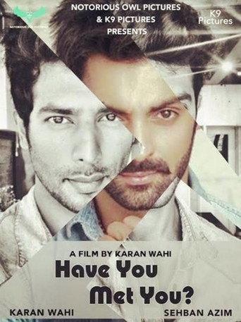 Have You Met You movie poster