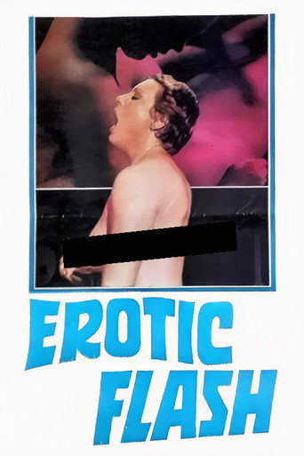 Erotic Flash movie poster