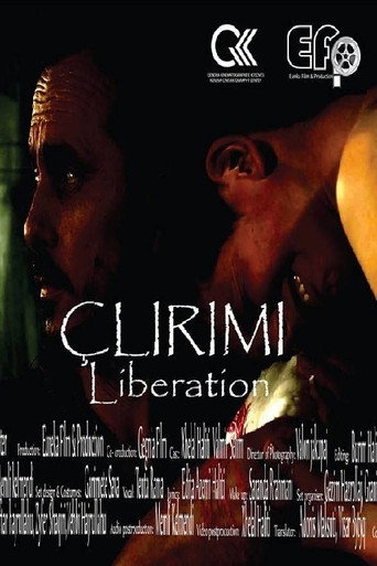 Liberation movie poster