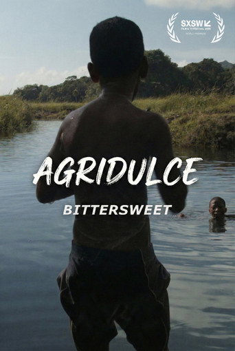 Bittersweet movie poster