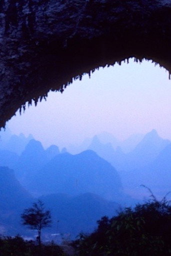 What about China? movie poster